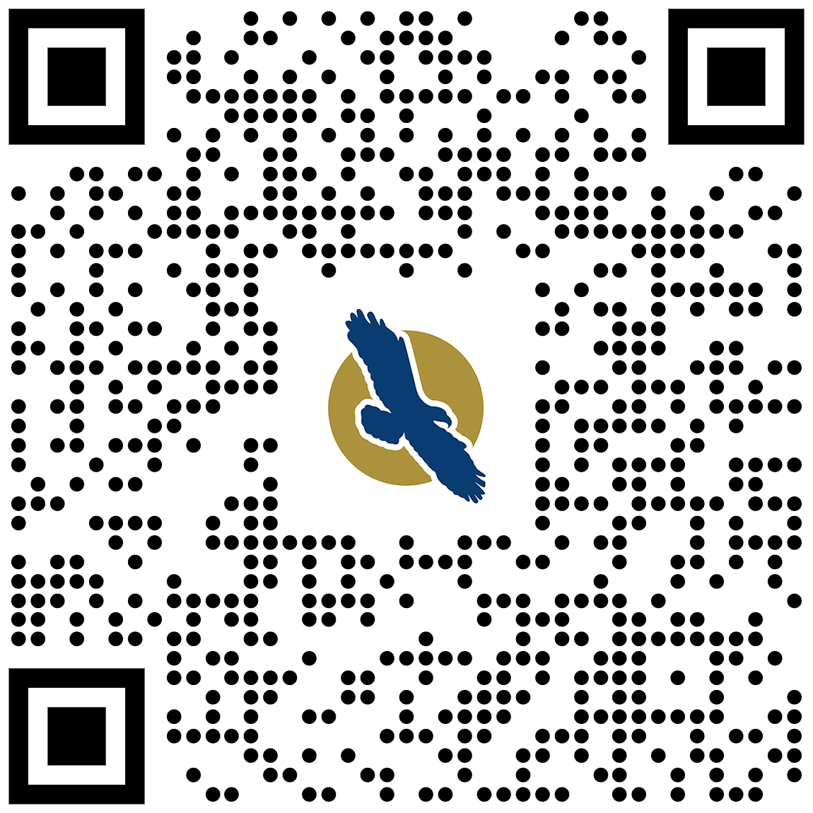 linq qr