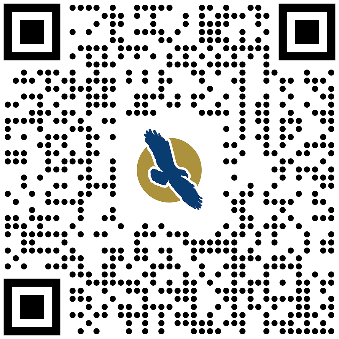 linq qr