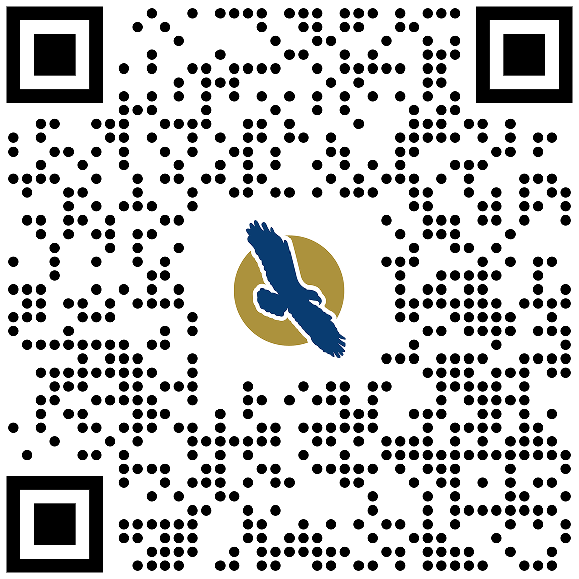 linq qr