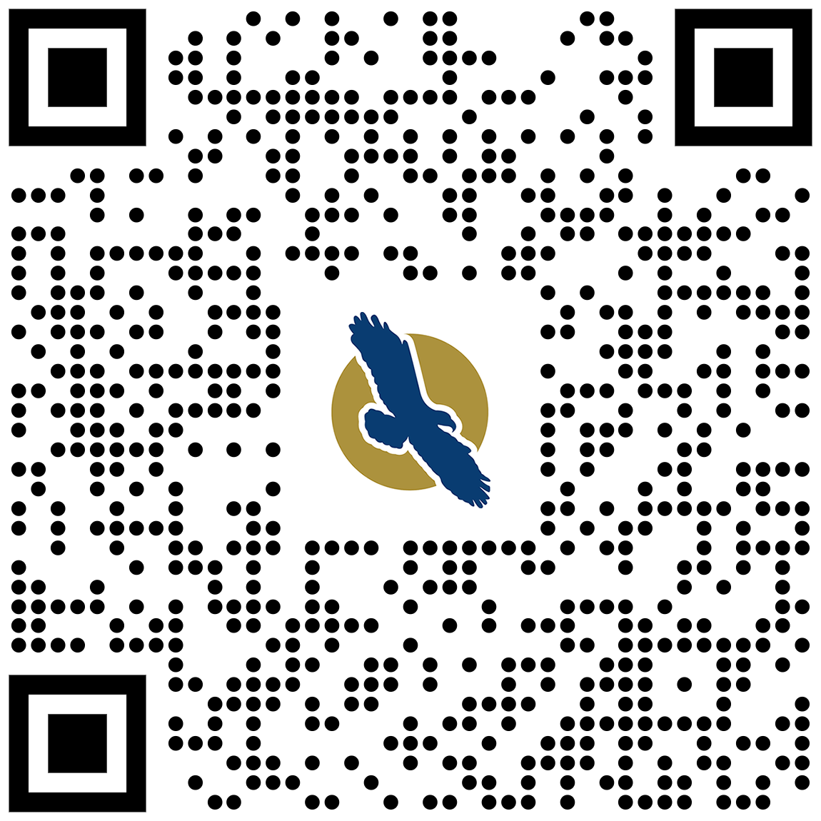 linq qr