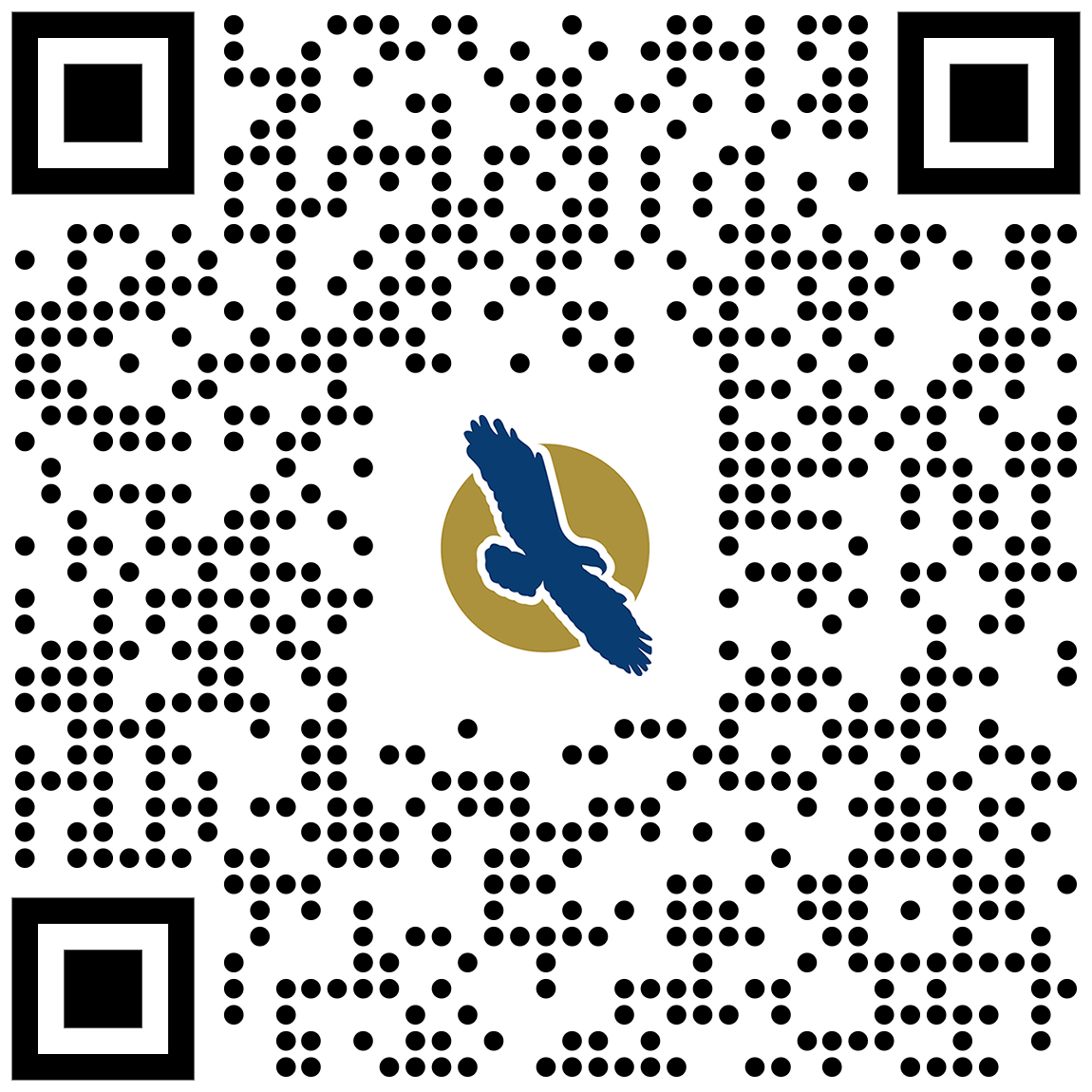 linq qr