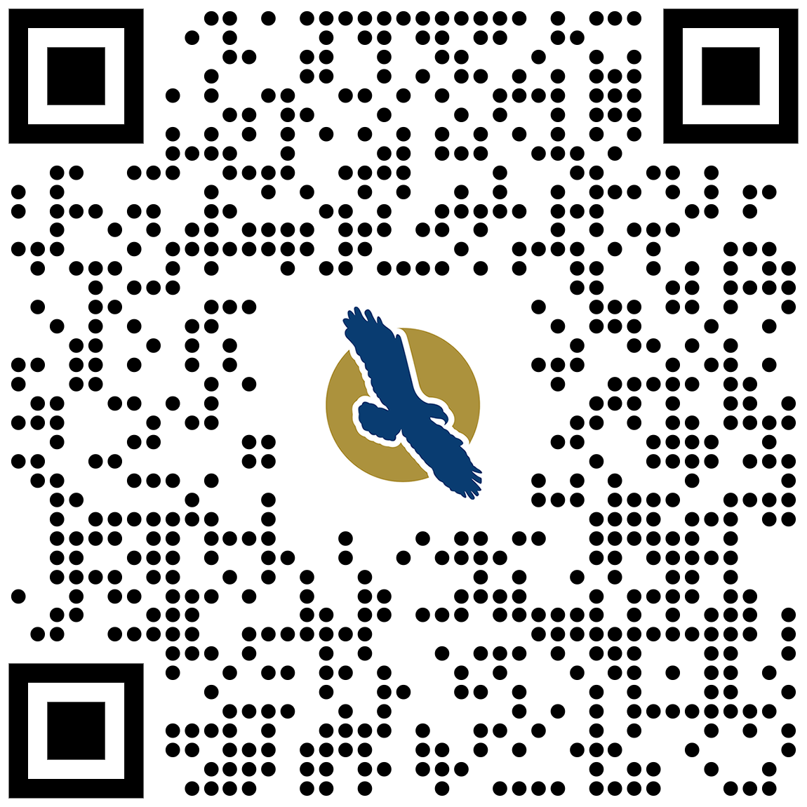 linq qr