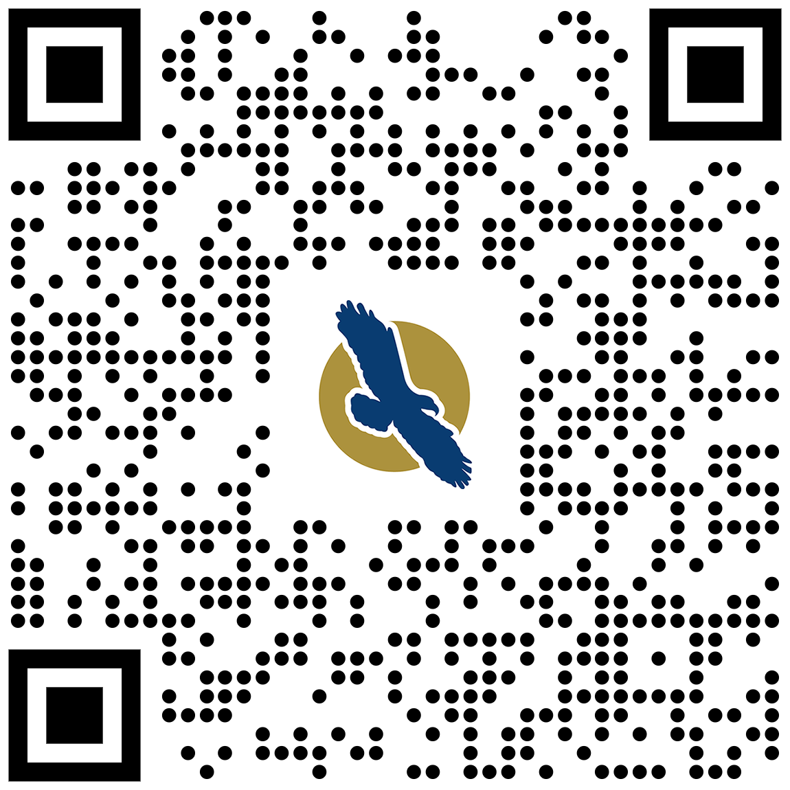 linq qr