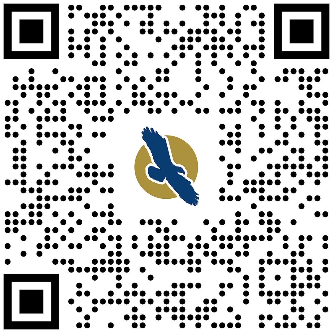 linq qr