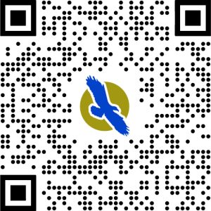 Scott McNally's QR Code