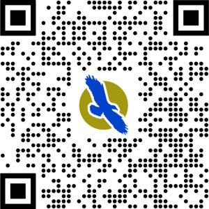 Matt Bannan QR Code